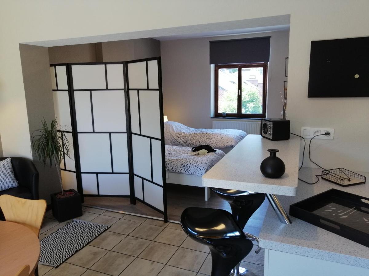 Studio 2 Pers Tourisme Et Business Namur ナミュール エクステリア 写真